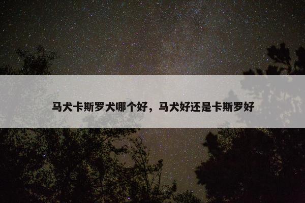 马犬卡斯罗犬哪个好，马犬好还是卡斯罗好