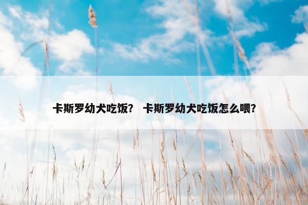 卡斯罗幼犬吃饭？ 卡斯罗幼犬吃饭怎么喂？