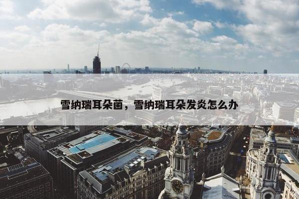 雪纳瑞耳朵菌，雪纳瑞耳朵发炎怎么办