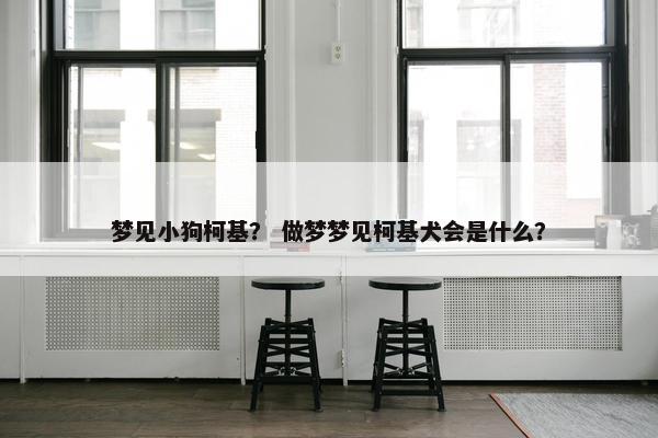 梦见小狗柯基？ 做梦梦见柯基犬会是什么？