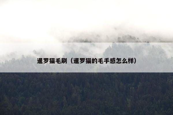 暹罗猫毛刷（暹罗猫的毛手感怎么样）