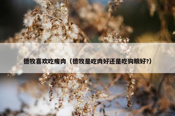 德牧喜欢吃瘦肉（德牧是吃肉好还是吃狗粮好?）