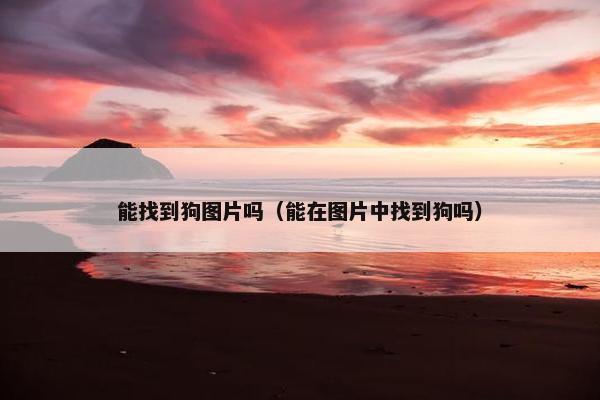 能找到狗图片吗（能在图片中找到狗吗）