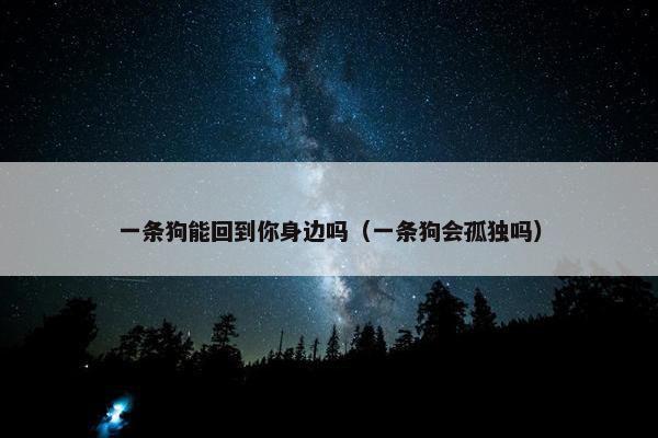 一条狗能回到你身边吗（一条狗会孤独吗）