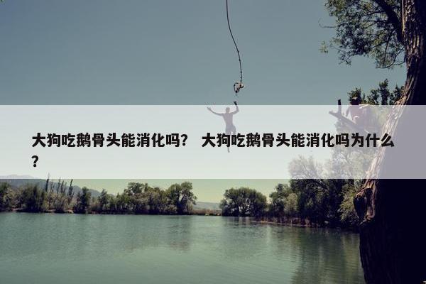 大狗吃鹅骨头能消化吗？ 大狗吃鹅骨头能消化吗为什么？