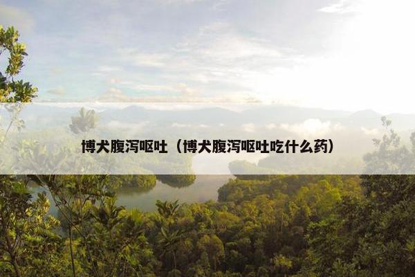 博犬腹泻呕吐（博犬腹泻呕吐吃什么药）