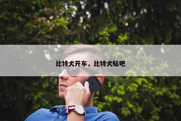 比特犬开车，比特犬贴吧