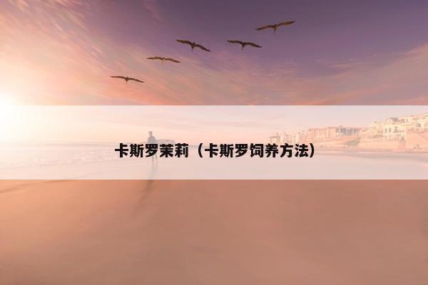 卡斯罗茉莉（卡斯罗饲养方法）