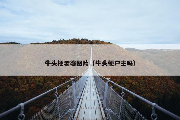 牛头梗老婆图片（牛头梗户主吗）