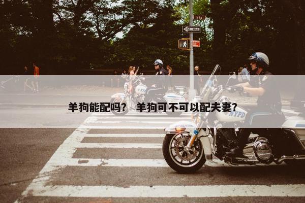 羊狗能配吗？ 羊狗可不可以配夫妻？