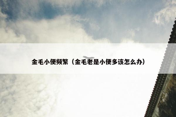 金毛小便频繁（金毛老是小便多该怎么办）