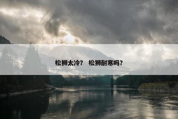 松狮太冷？ 松狮耐寒吗？
