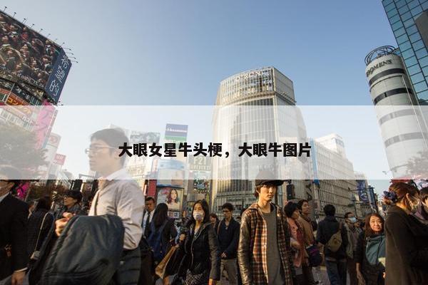 大眼女星牛头梗，大眼牛图片