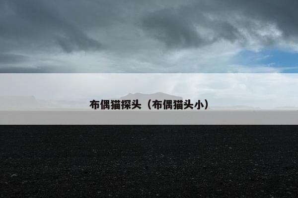 布偶猫探头（布偶猫头小）