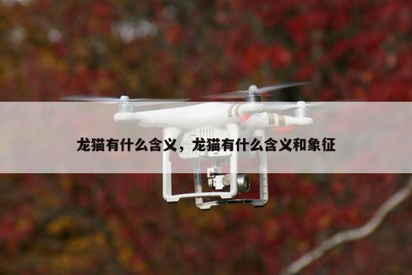 龙猫有什么含义，龙猫有什么含义和象征