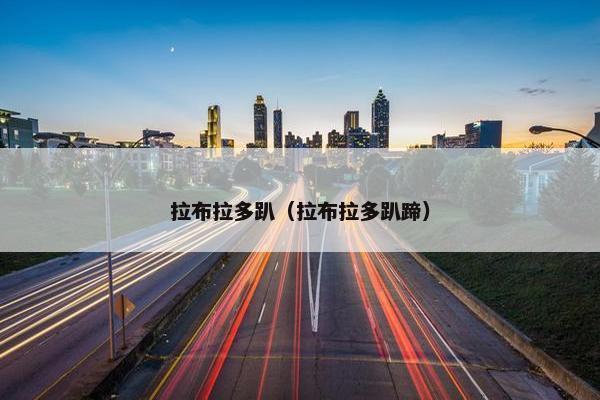 拉布拉多趴（拉布拉多趴蹄）