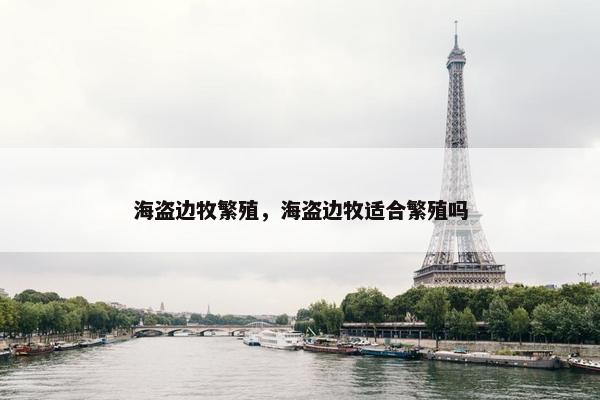 海盗边牧繁殖，海盗边牧适合繁殖吗