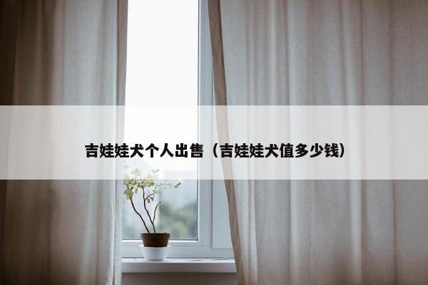 吉娃娃犬个人出售（吉娃娃犬值多少钱）