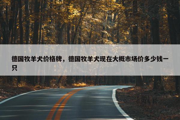 德国牧羊犬价格牌，德国牧羊犬现在大概市场价多少钱一只