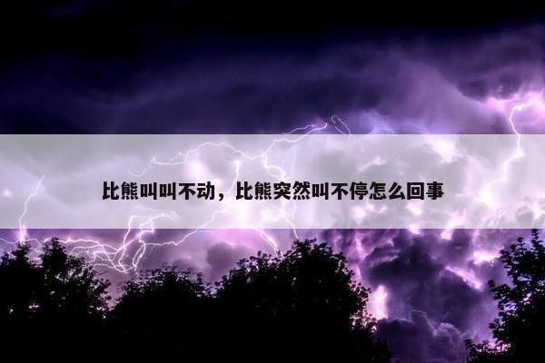 比熊叫叫不动，比熊突然叫不停怎么回事