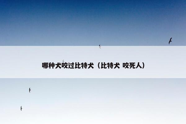 哪种犬咬过比特犬（比特犬 咬死人）