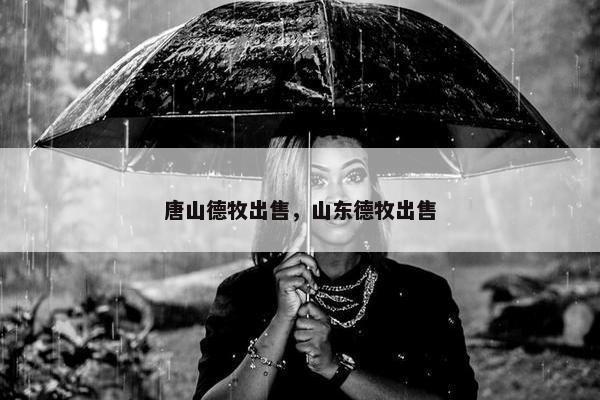 唐山德牧出售，山东德牧出售