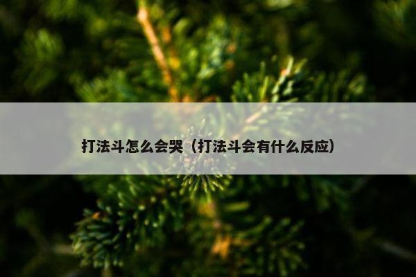 打法斗怎么会哭（打法斗会有什么反应）