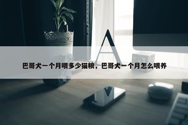巴哥犬一个月喂多少猫粮，巴哥犬一个月怎么喂养