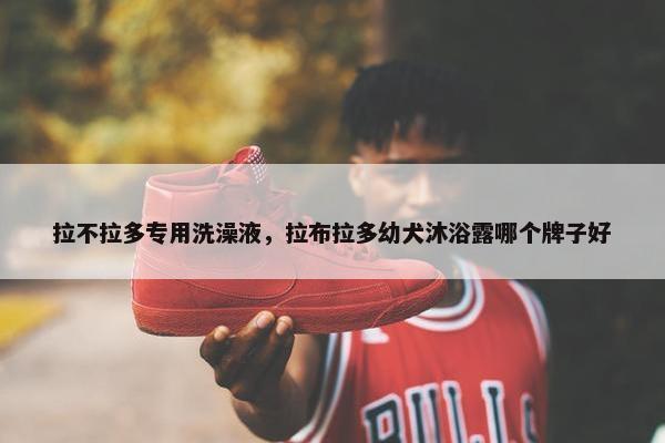 拉不拉多专用洗澡液，拉布拉多幼犬沐浴露哪个牌子好