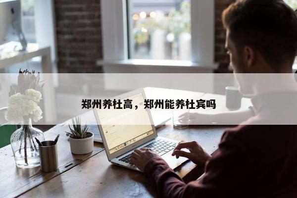 郑州养杜高，郑州能养杜宾吗