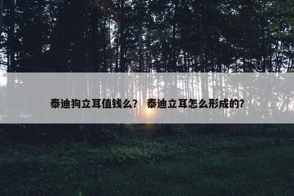 泰迪狗立耳值钱么？ 泰迪立耳怎么形成的？