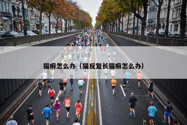 猫癣怎么办（猫反复长猫癣怎么办）