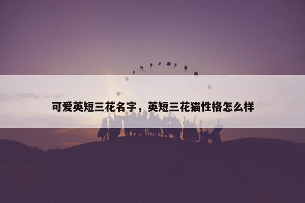 可爱英短三花名字，英短三花猫性格怎么样