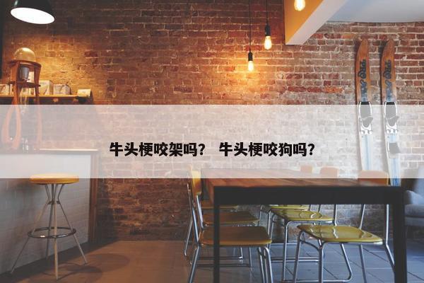 牛头梗咬架吗？ 牛头梗咬狗吗？