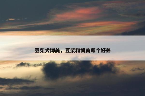豆柴犬博美，豆柴和博美哪个好养