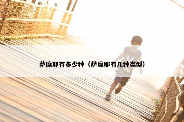 萨摩耶有多少种（萨摩耶有几种类型）