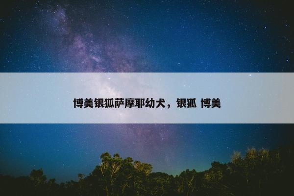 博美银狐萨摩耶幼犬，银狐 博美
