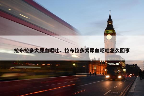 拉布拉多犬尿血呕吐，拉布拉多犬尿血呕吐怎么回事