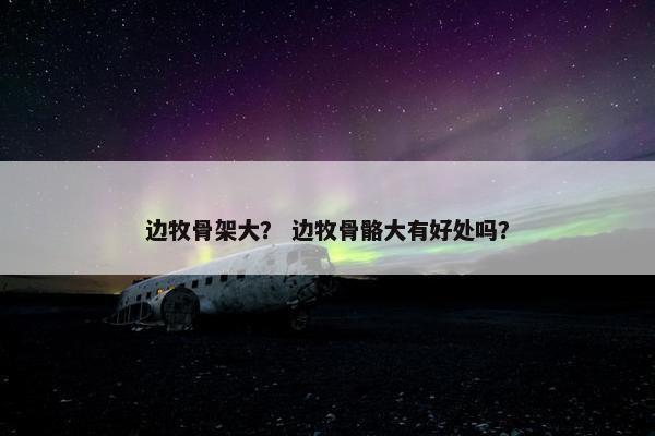 边牧骨架大？ 边牧骨骼大有好处吗？