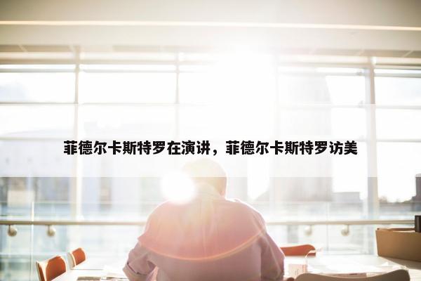 菲德尔卡斯特罗在演讲，菲德尔卡斯特罗访美
