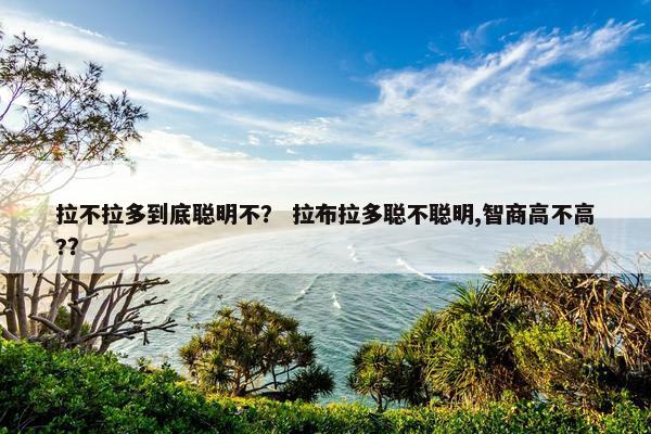 拉不拉多到底聪明不？ 拉布拉多聪不聪明,智商高不高?？