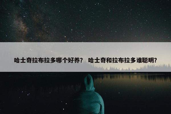 哈士奇拉布拉多哪个好养？ 哈士奇和拉布拉多谁聪明？