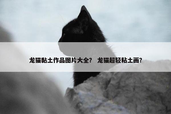 龙猫黏土作品图片大全？ 龙猫超轻粘土画？