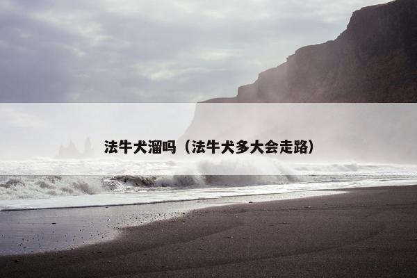 法牛犬溜吗（法牛犬多大会走路）