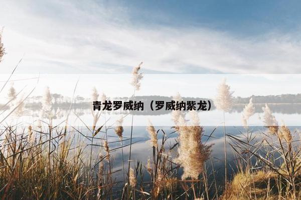 青龙罗威纳（罗威纳紫龙）