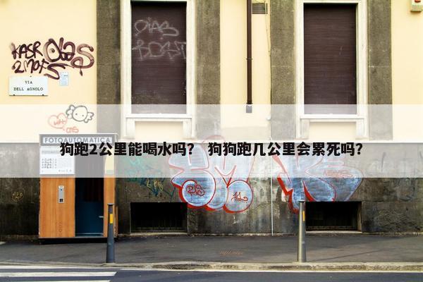 狗跑2公里能喝水吗？ 狗狗跑几公里会累死吗？