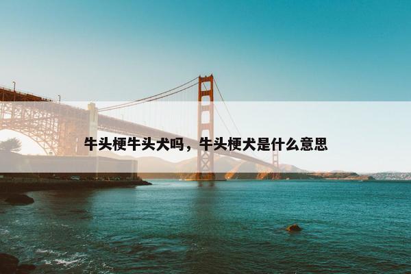 牛头梗牛头犬吗，牛头梗犬是什么意思