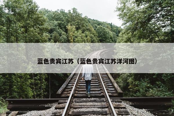蓝色贵宾江苏（蓝色贵宾江苏洋河图）