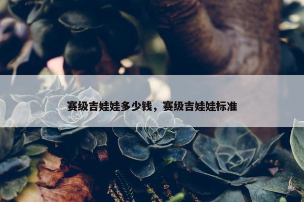 赛级吉娃娃多少钱，赛级吉娃娃标准