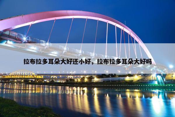 拉布拉多耳朵大好还小好，拉布拉多耳朵大好吗